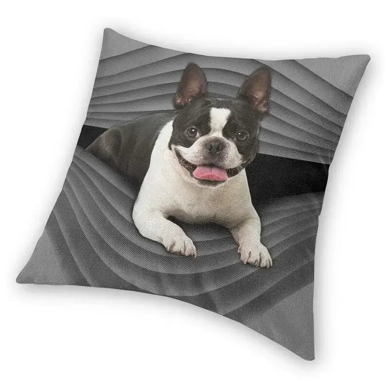 Housse de Coussin Boston Terrier – Impression Double Face | 7 Tailles