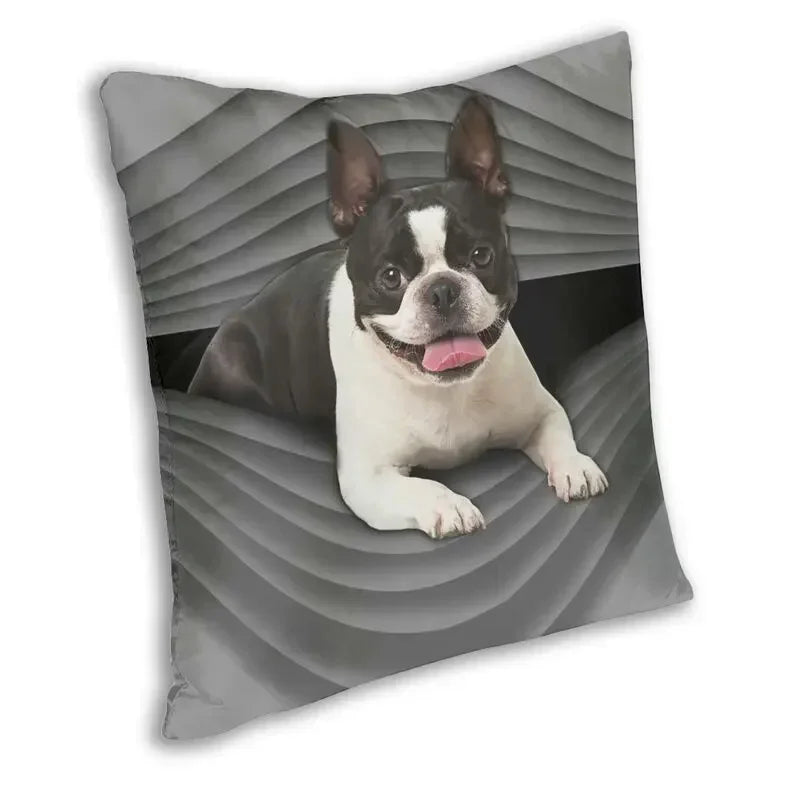 Housse de Coussin Boston Terrier – Impression Double Face | 7 Tailles
