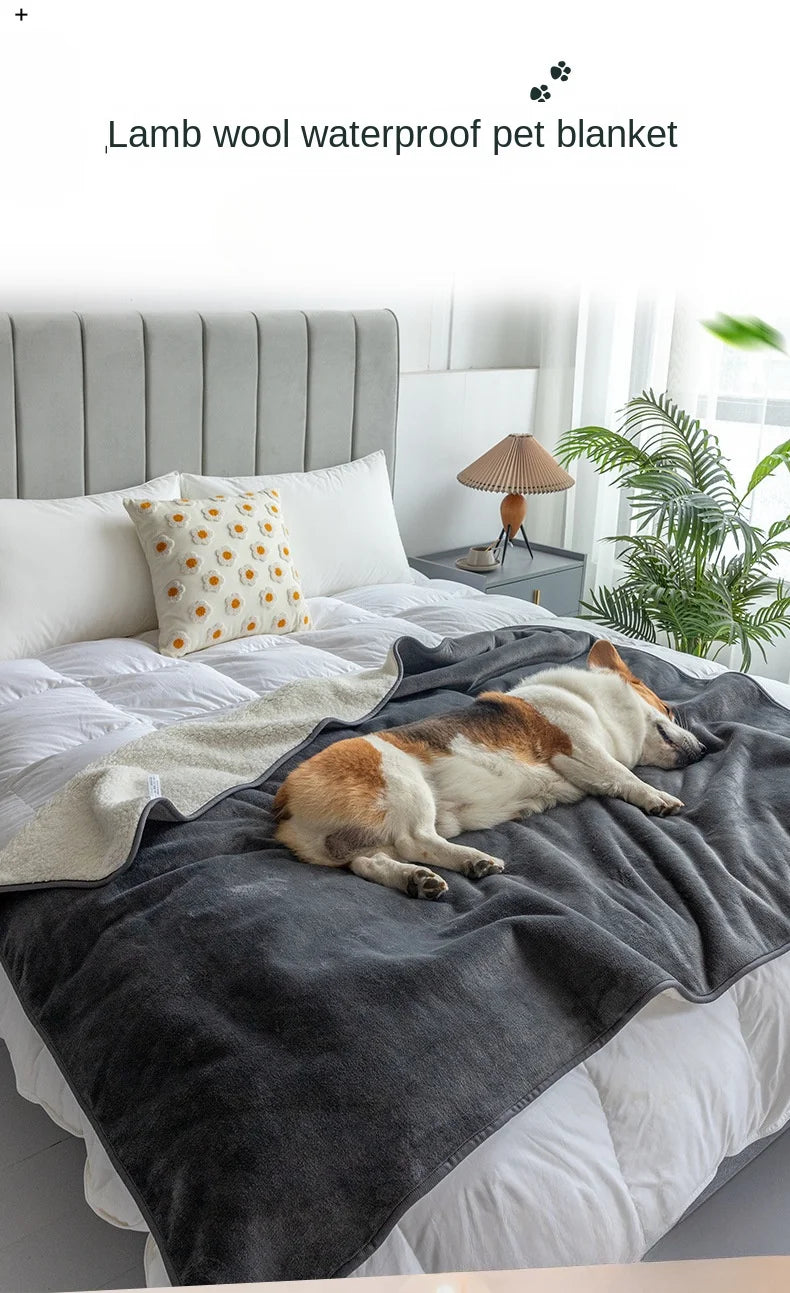 Couverture Polaire Douce pour Chat &amp; Chien – Toutes Saisons | 50x70 cm