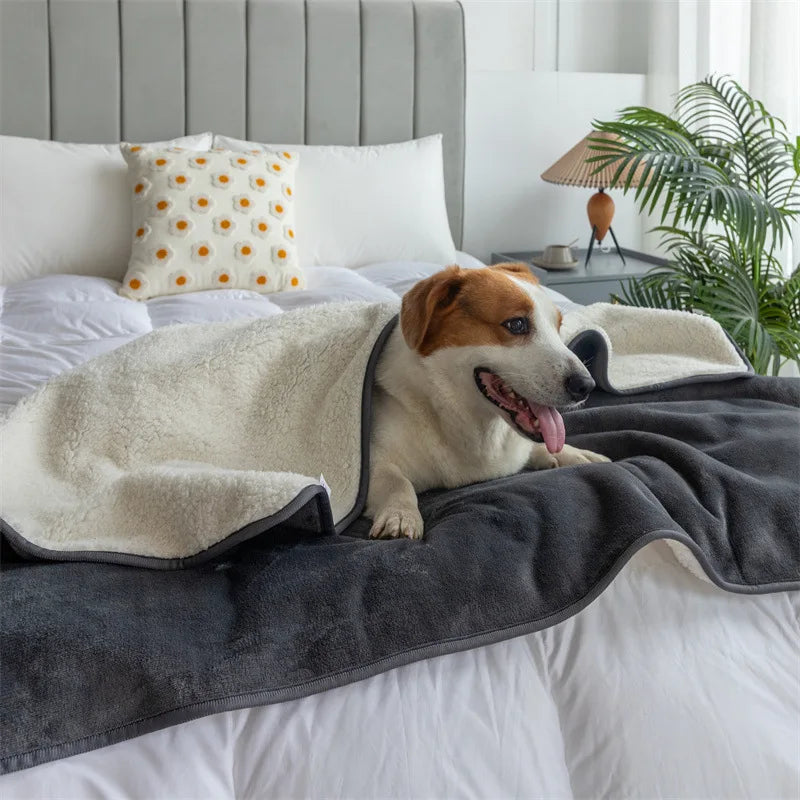 Couverture Polaire Douce pour Chat &amp; Chien – Toutes Saisons | 50x70 cm